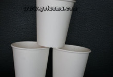 paper-cup-hot-12-oz-polos