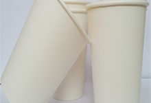 paper cup hot 12 oz re