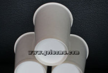 paper-cup-cold-16-oz-polos