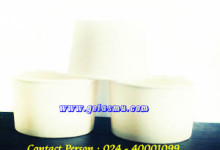 ice-cream-soup-cup-12-oz-AW-polos ice-cream-soup-cup-12-oz-AW-polos