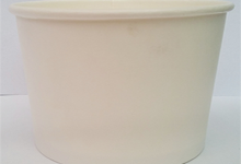 soup&ice cream cup 17oz re